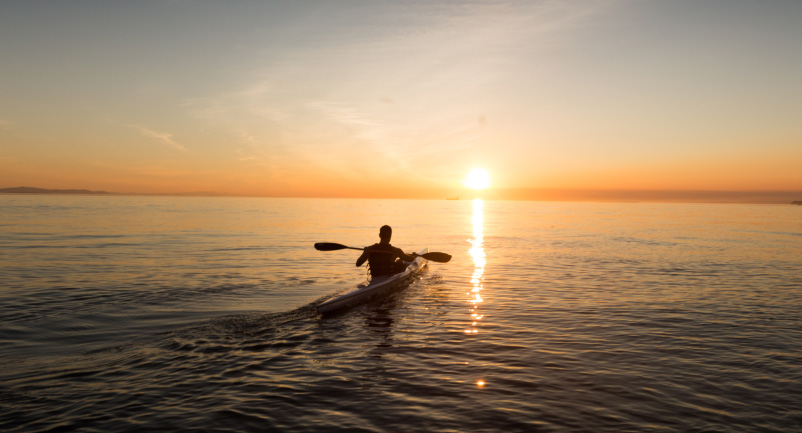 JBO��Ѷ����