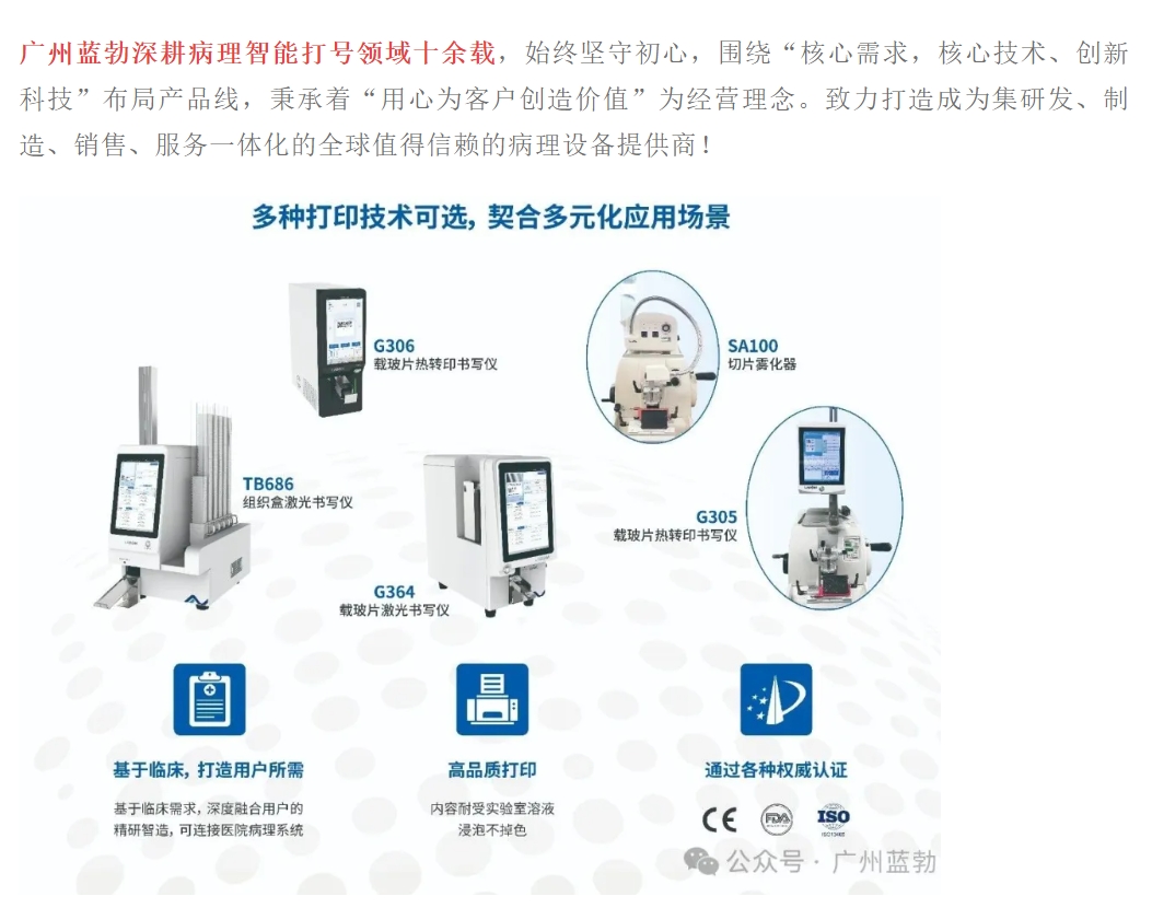 JBO��Ѷ����