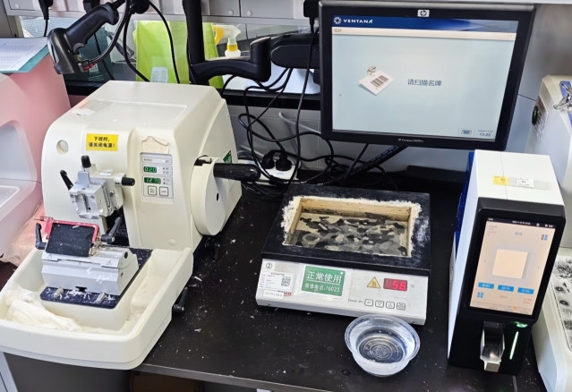 JBO��Ѷ����